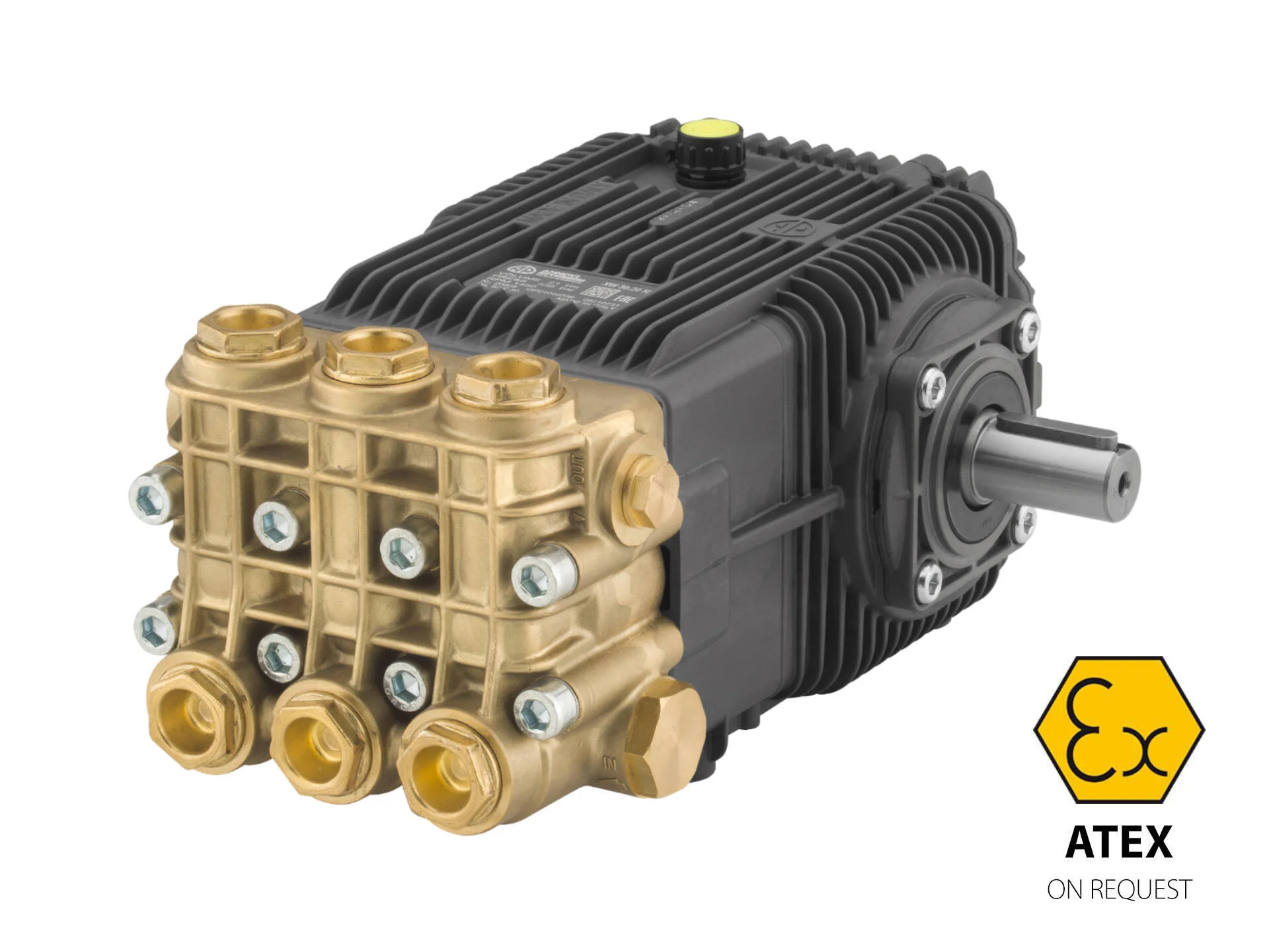 annovi reverberi 30 litre 100 bar pompa xw30.10n annovi reverberi görseli